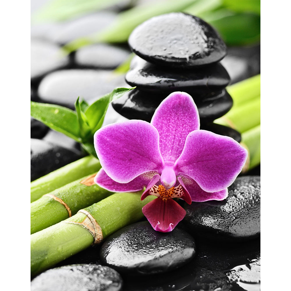 Collection D Art Orchid and Bamboo 27x38 Mozaik Kit - D4659